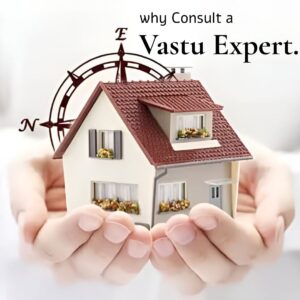 Vastu Consultant for a Harmonious Life-best-vastu-consultant-in-mumbai
